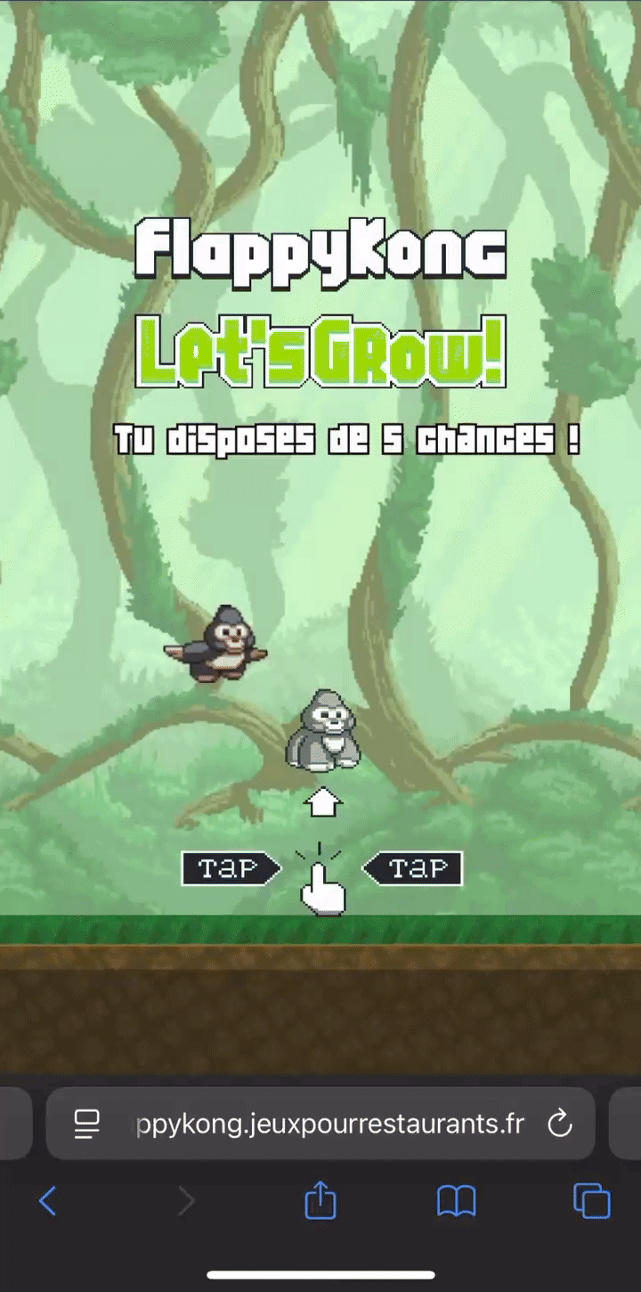Mockup du jeu Flappy Kong